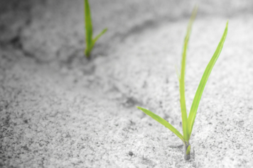 Traumasensibler Umgang mit Menschen